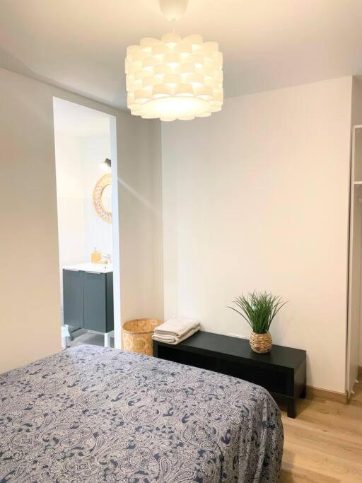 / Cocon \ Paisible Hyper Centre Rodez Apartman Kültér fotó